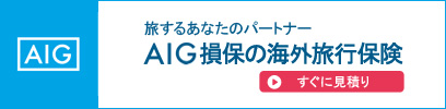 AIG 旅するあなたのパートナー AIG損保の海外旅行保険 すぐに見積り