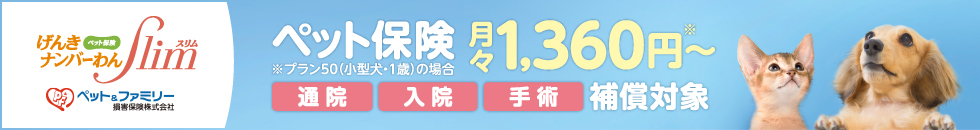 ペット保険 げんきナンバーわんSlim ペット保険月々1,360円〜 ※プラン50(小型犬・1歳の場合) 通院 入院 手術 補償対象