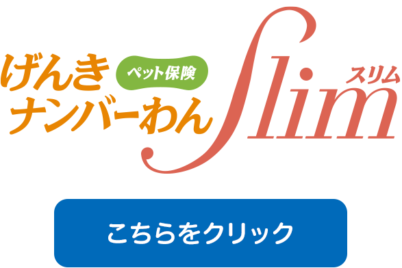 ペット保険げんきナンバーわんSlim